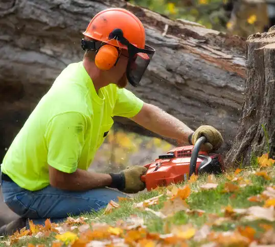 tree services Como